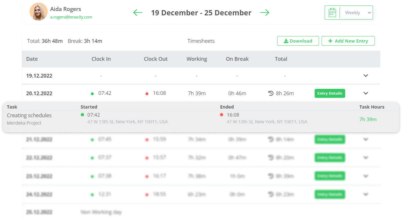 TimeyWebTimesheet